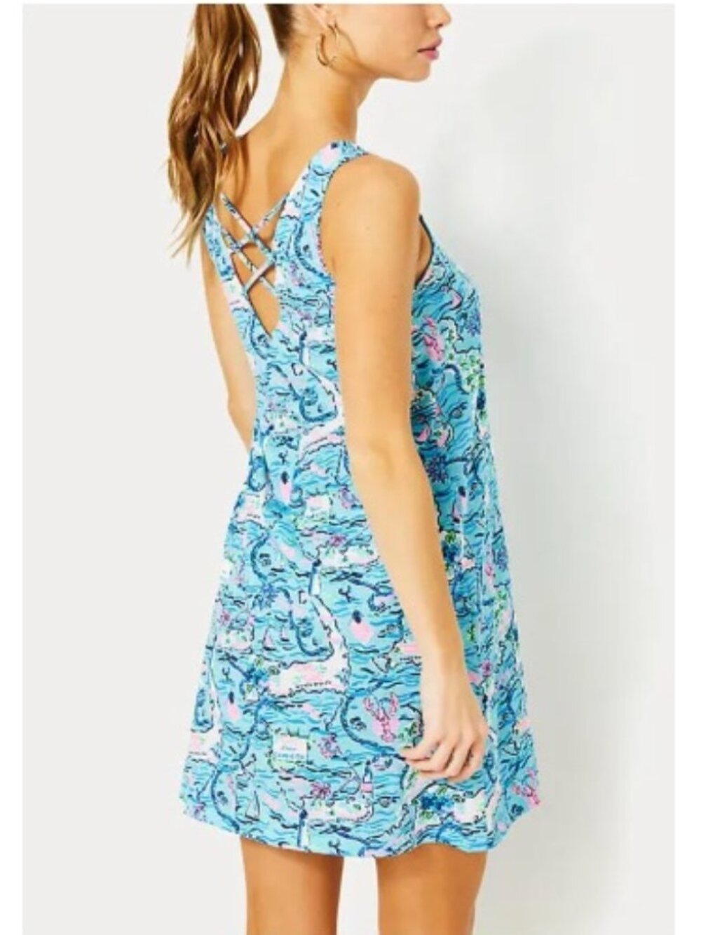 Lilly Pulitzer Kristen Swing Dress, Lilly Loves Cape Cod Bali Blue | Size XS - Picture 3 of 8